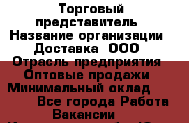 Торговый представитель › Название организации ­ Доставка, ООО › Отрасль предприятия ­ Оптовые продажи › Минимальный оклад ­ 27 000 - Все города Работа » Вакансии   . Кемеровская обл.,Юрга г.